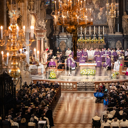 Stephansdom: Österreich nahm Abschied von Papst Franziskus